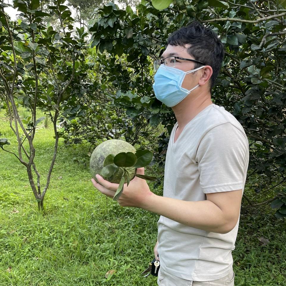 Việt Anh